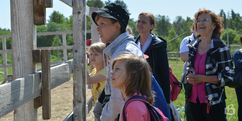 Детям петербургского центра "Дом милосердия" устроили катание на лошадях